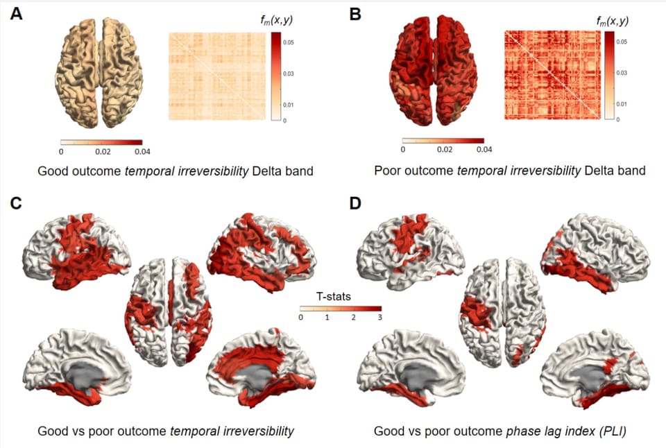 Construction of invariant features for time-domain EEG/MEG signals using Grassmann manifolds