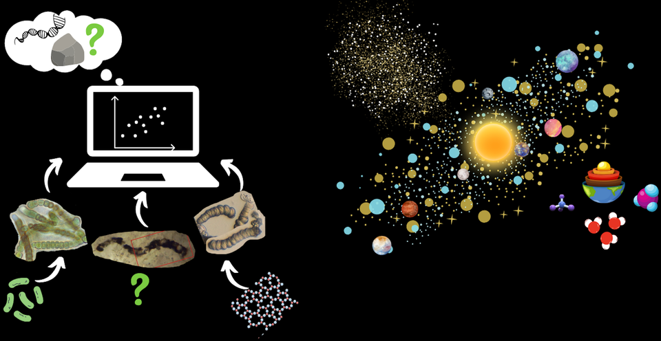 Renee Hoekzema is awarded a project within PRELIFE consortium on the origins of life